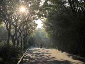 陽光傾瀉