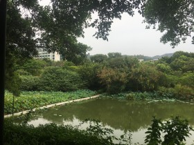 嘉庚風景