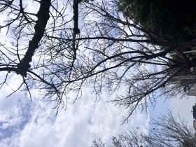 “嘉園”on my eyes