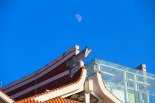 隱月