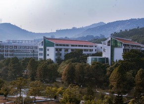冬日的校園