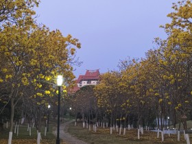 別錯過“嘉園”四季