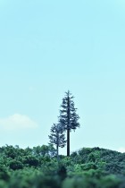 對(duì)影