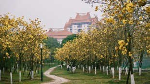 思“嘉園”，頌“嘉”景，憶“嘉”人，懷“嘉”事