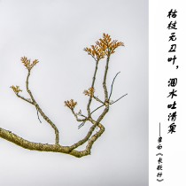 黃葉頌詩文