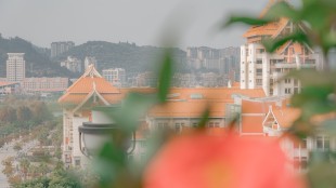 相距，相聚