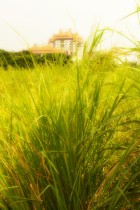 走！去學(xué)校